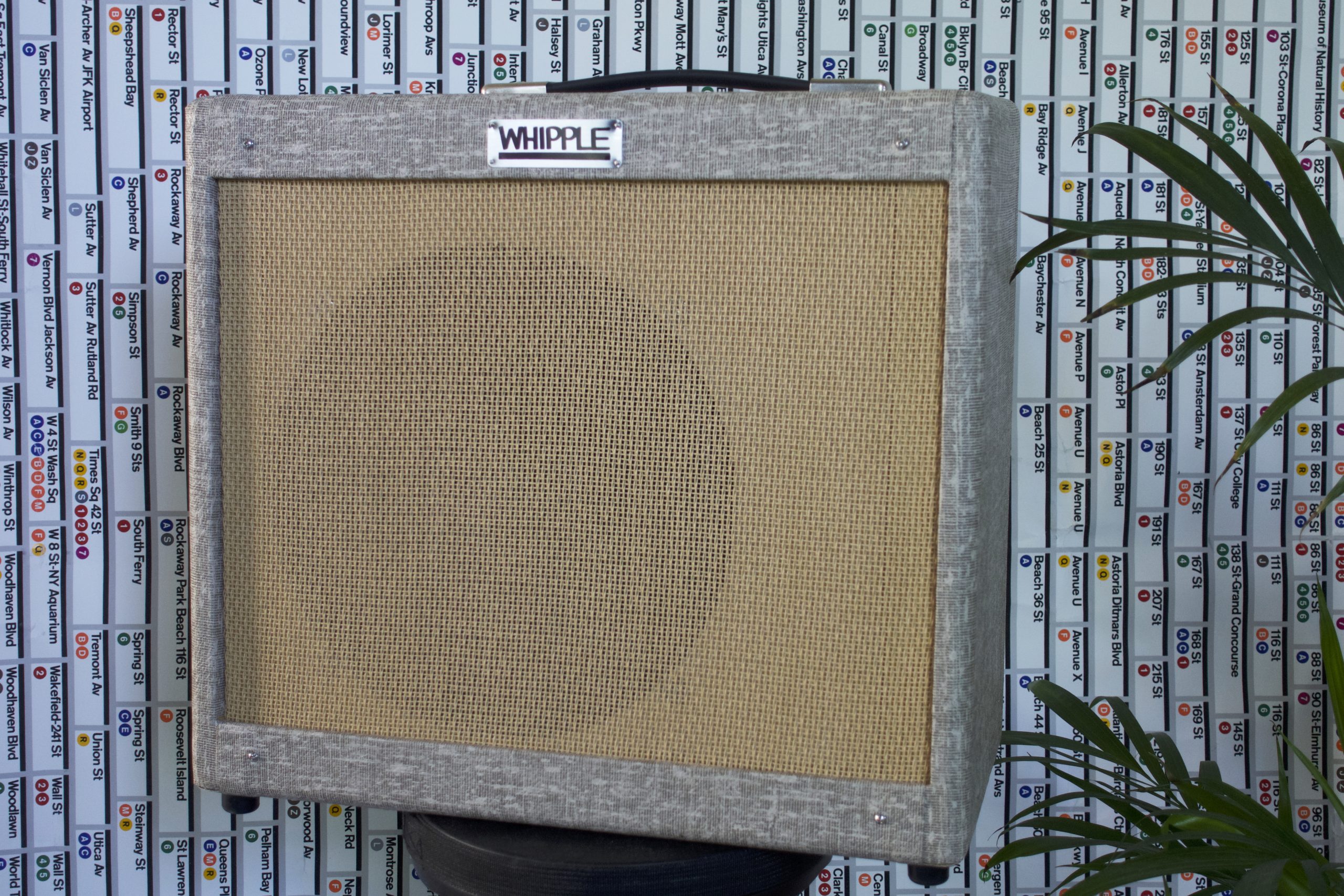 Whipple "EL" - Tweed power combo champ with 1x12" mojo
